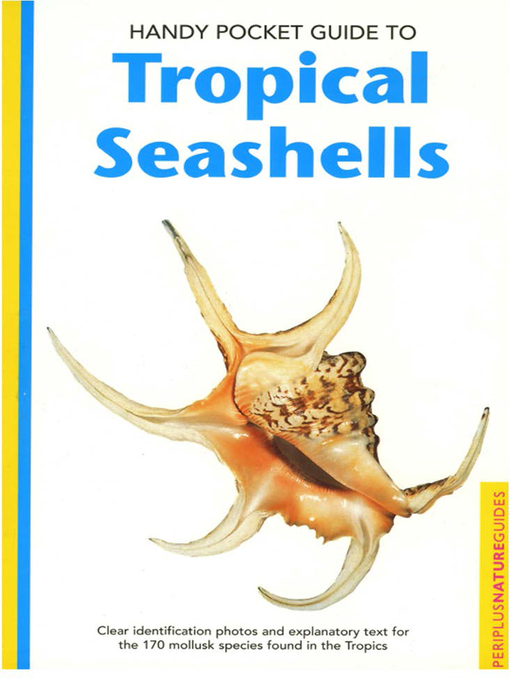 Title details for Handy Pocket Guide to Tropical Seashells by Pauline Fiene-Severns - Available